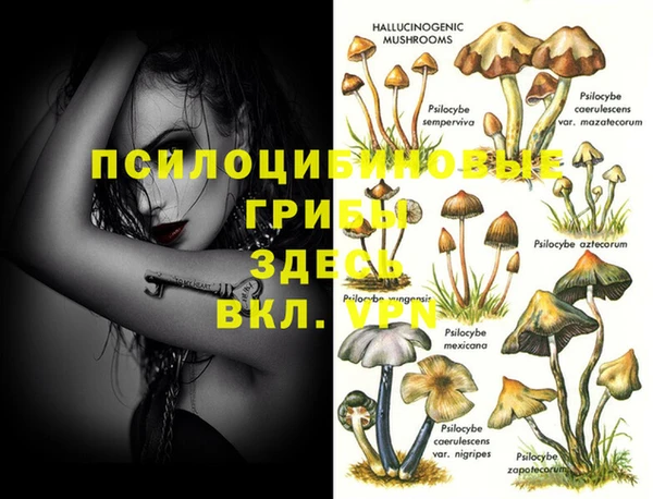 метамфетамин Аркадак