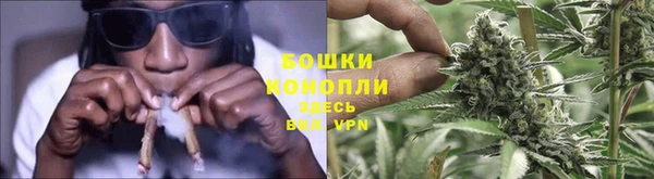 гидра Арсеньев