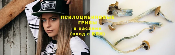 гидра Арсеньев