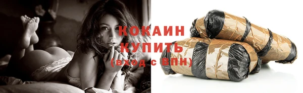 спиды Новозыбков