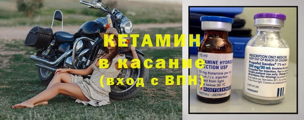 гидра Арсеньев
