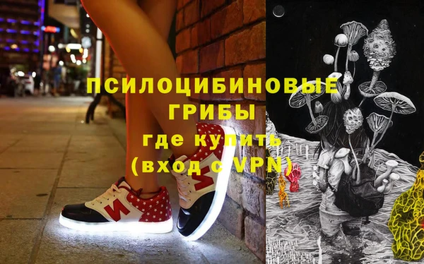 спиды Новозыбков