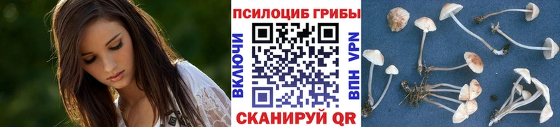 Псилоцибиновые грибы Psilocybine cubensis  продажа наркотиков  Починок 